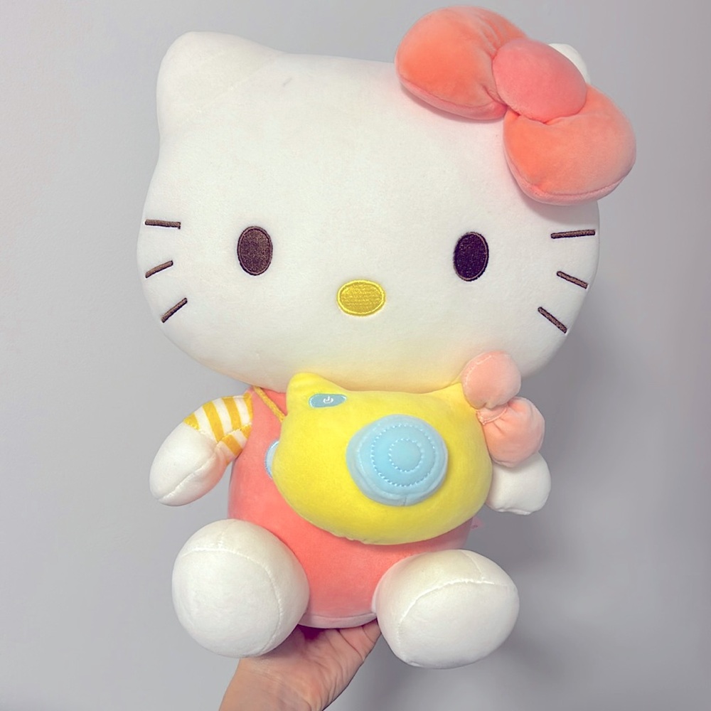Hello kitty photograph plush